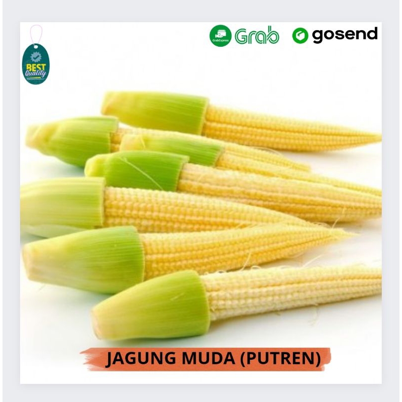 

Jagung Muda (Putren) Segar - 500gr