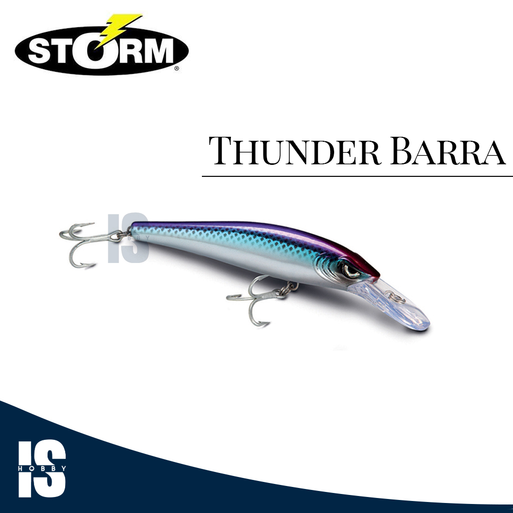 Lure Umpan Minnow Storm Thunder Barra Deep 11cm TBM11