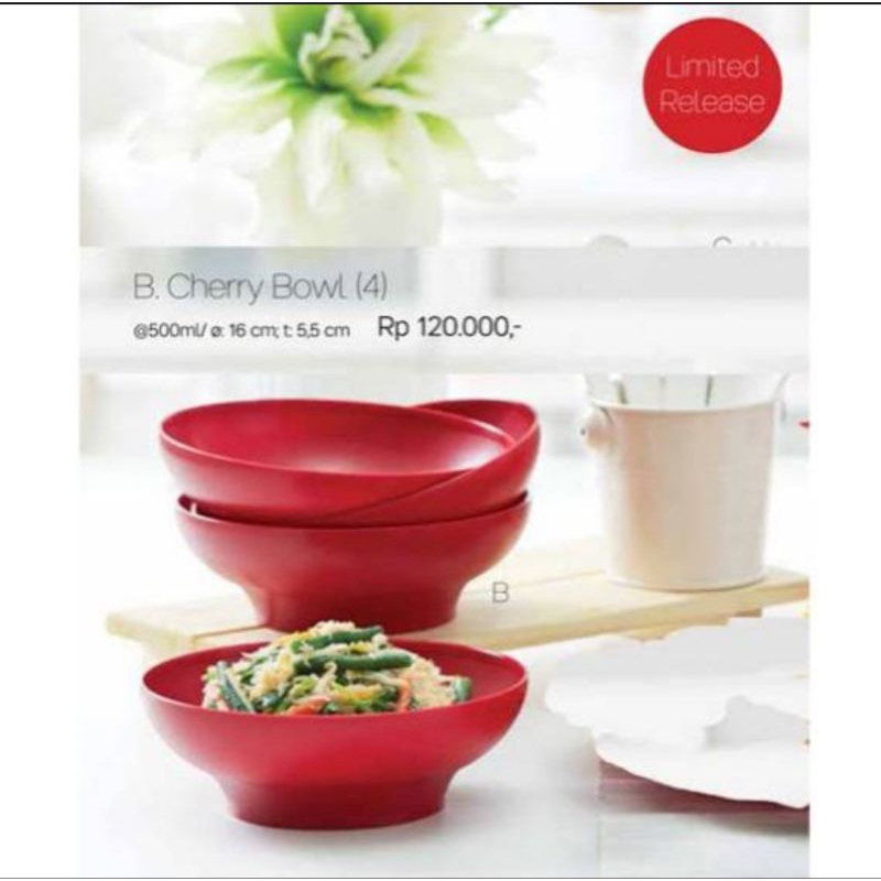 Ideal Bowl Tupperware