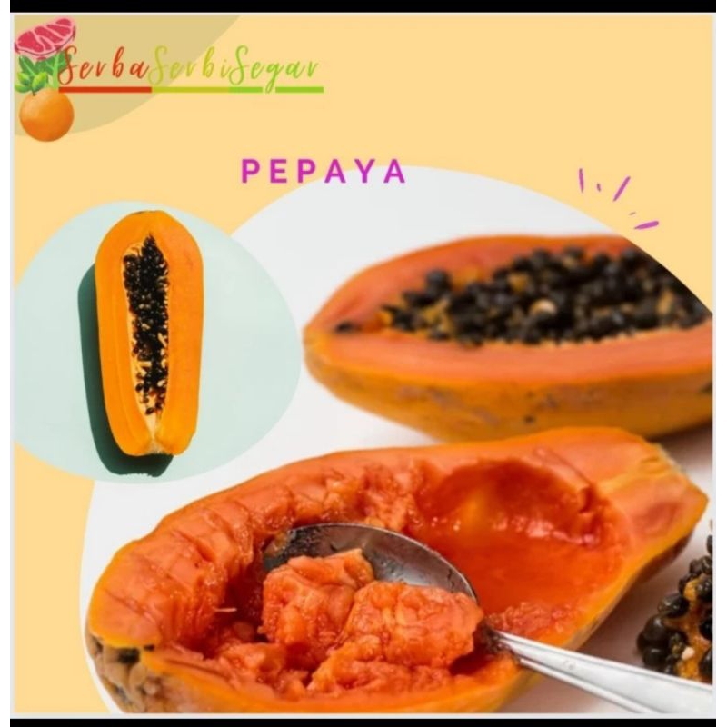 

PEPAYA BUAH PEPAYA CALIFORNIA