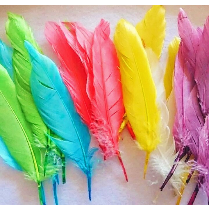 10Pcs Bulu ayam warna warni / Bulu ayam warna warni / kerajinan bulu ayam