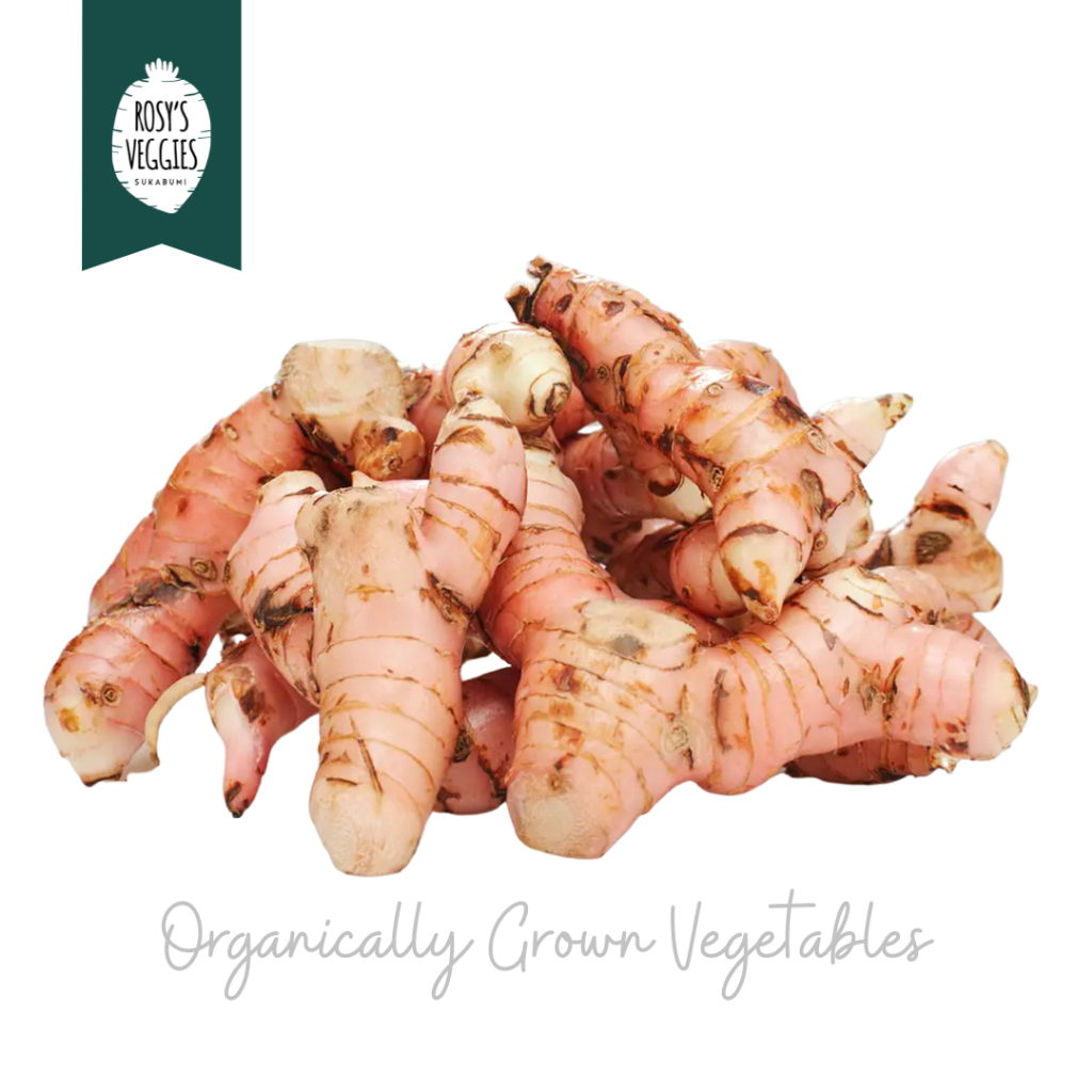 

Lengkuas Organik | 250 gr