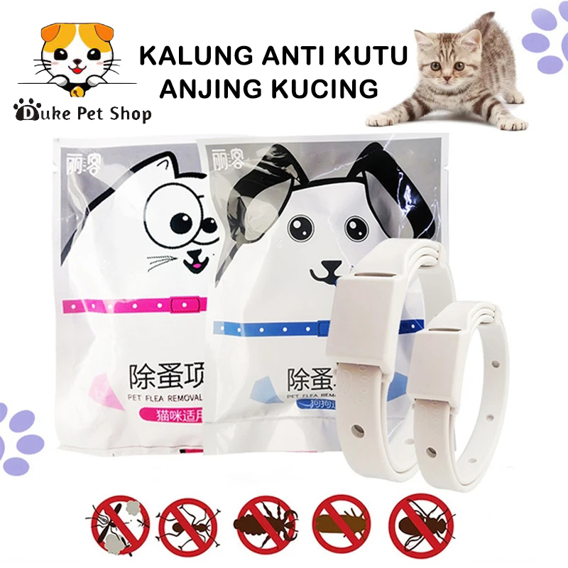 KALUNG ANTI KUTU ANJING KUCING - Kalung Obat Anti Kutu Kucing Kelinci Anjing Musang Flea Tick Cat Kitten