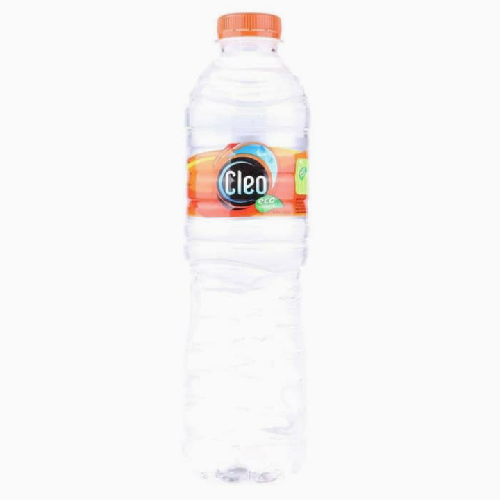 air mineral cleo botol 550ml isi 24