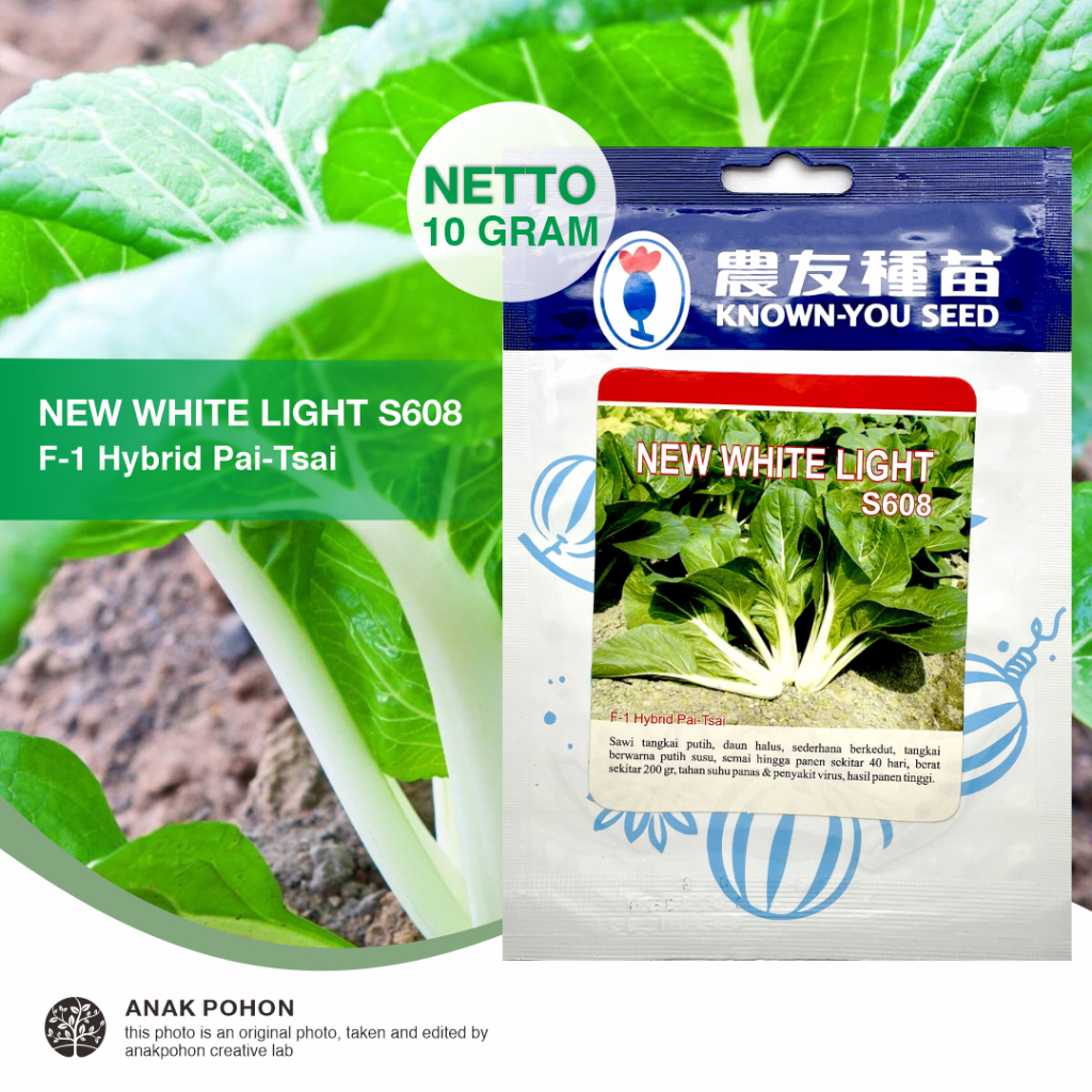 (1 PACK - 10 GRAM) Benih Sawi NEW WHITE LIGHT S608 Pai Tsai Hibrida F1 Seeds - Known You Seed KYS