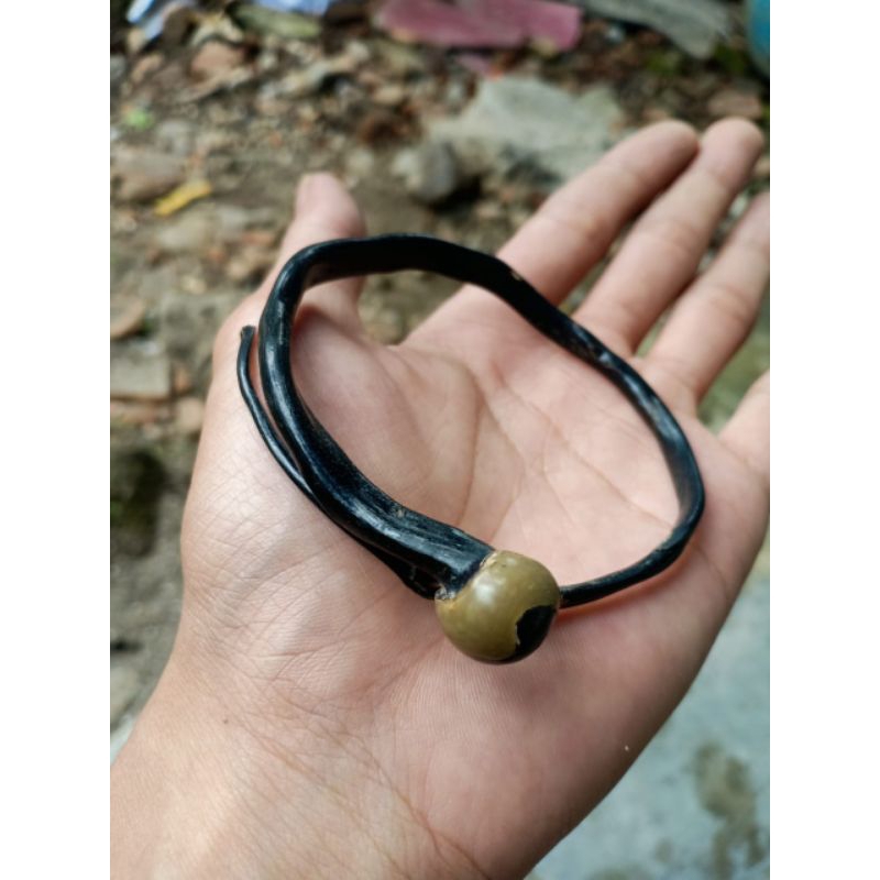 gelang akar Bahar hitam bonggol (size kantoran)