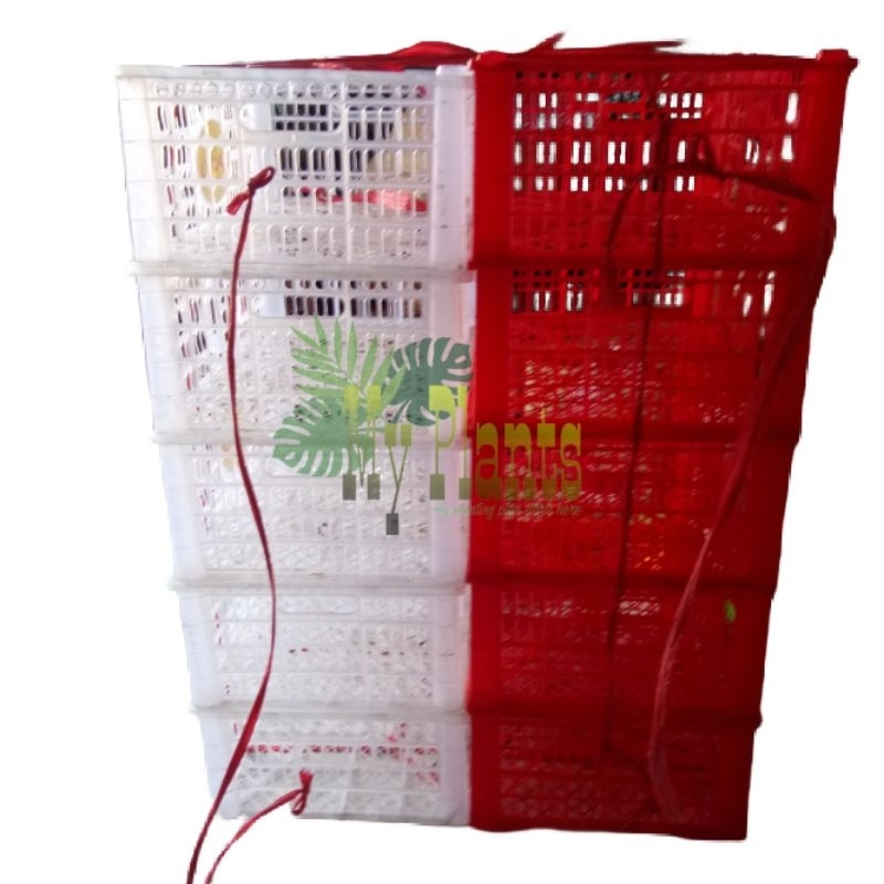 Keranjang Buah Bekas Plus Tutup Kranjang Plastik Serbaguna Box Kotak