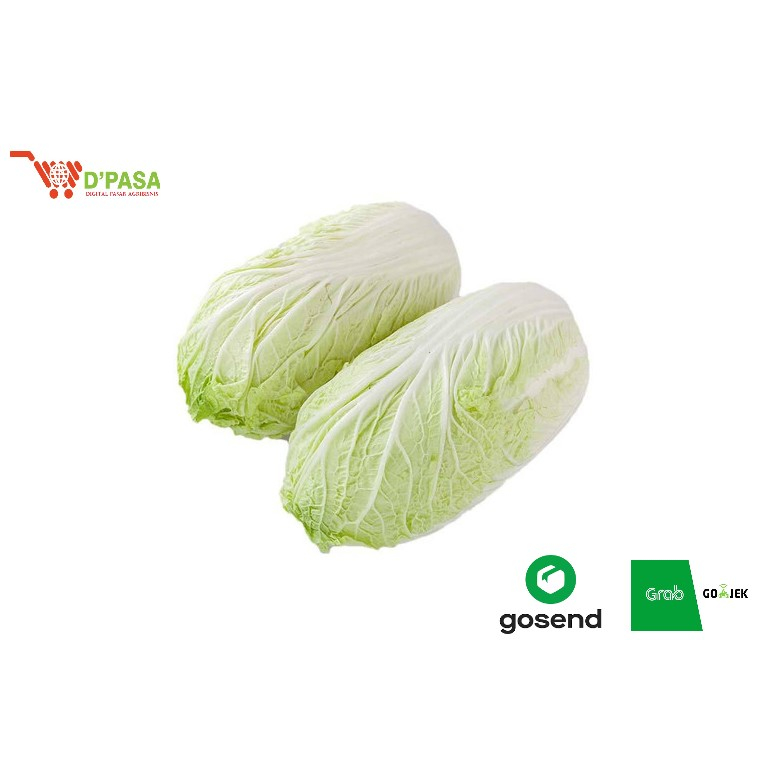 

KIRIM INSTAN Sayuran Segar Kimchi Fresh Sawi Putih Chinese Cabbage 500GR