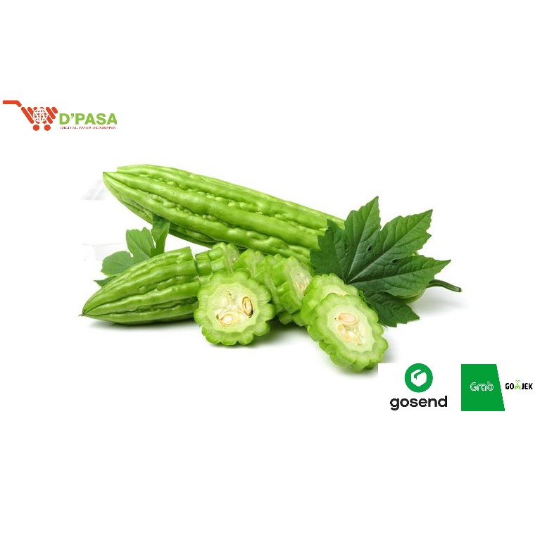 

KIRIM INSTAN Sayuran Segar Buah Pare 250gr Pario Peria Fresh Dpasa Padang
