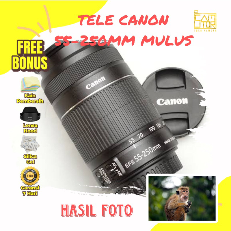 LENSA TELE 55-250MM STABILIZER FOR CANON MURAH SIAP PAKAI