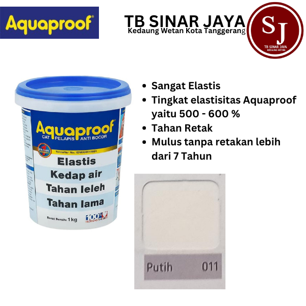 Aquaproof Cat Pelapis Anti Bocor Kemasan 1kg - 001 Transparan