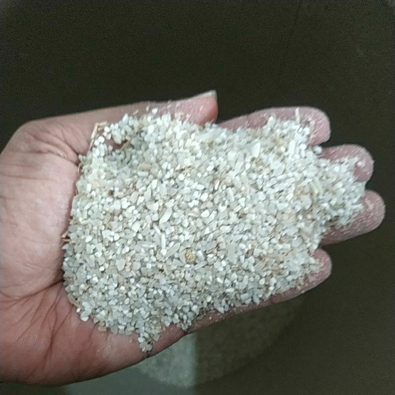 BERAS MENIR PAKAN BEBEK AYAM 1 KG