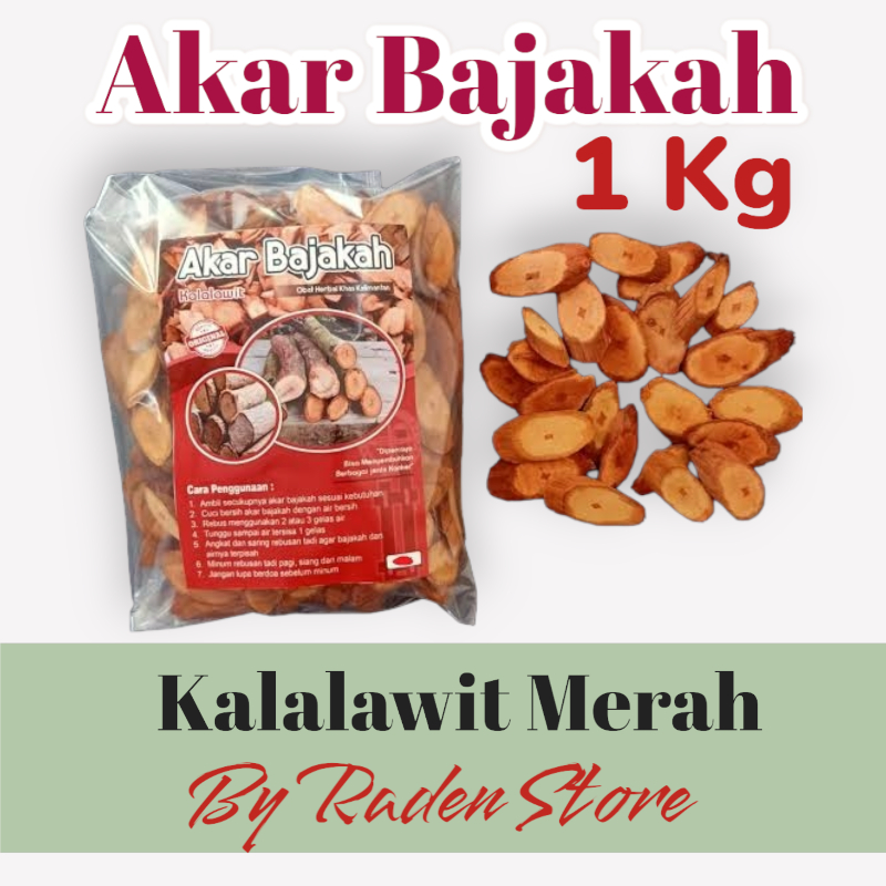 

Akar Bajakah Kalalawit Merah 1Kg Asli Kalimantan