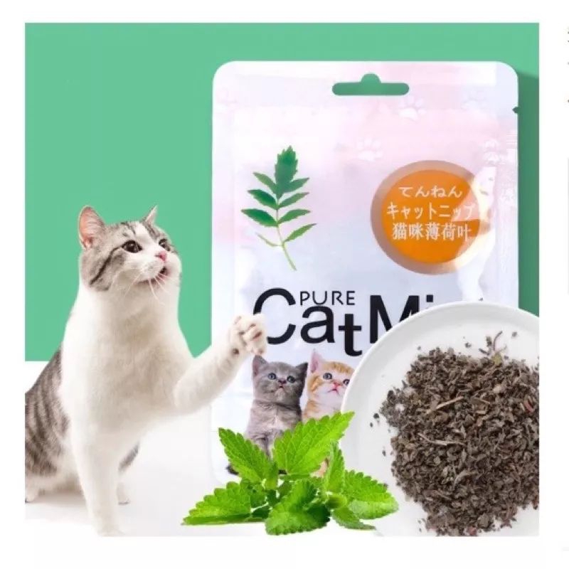 GPSS- Catnip Catmint Powder Snack Kucing Pure Catmint Powder Cat Mint Cemilan Kucing Camilan Kucing Anjing Bubuk Catnip Untuk Kucing Snack Anjing Cemilan Anjing Camilan Anjing