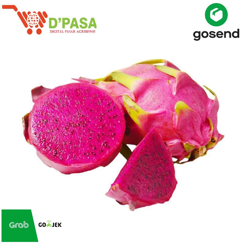 

KIRIM INSTAN Buah Naga Merah Premium 1Kg Buah Buahan Segar