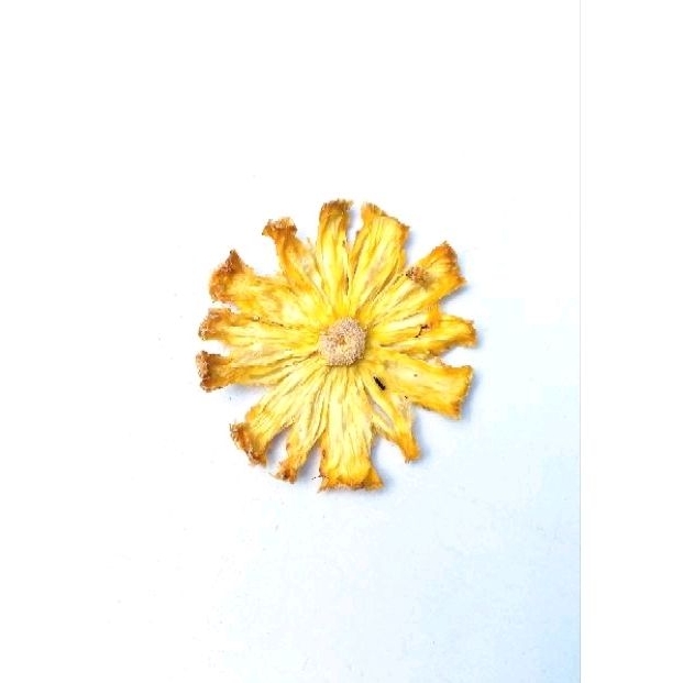 

GARNISH NANAS / DRIED PINEAPPLE / DEHYDRATED FRUIT