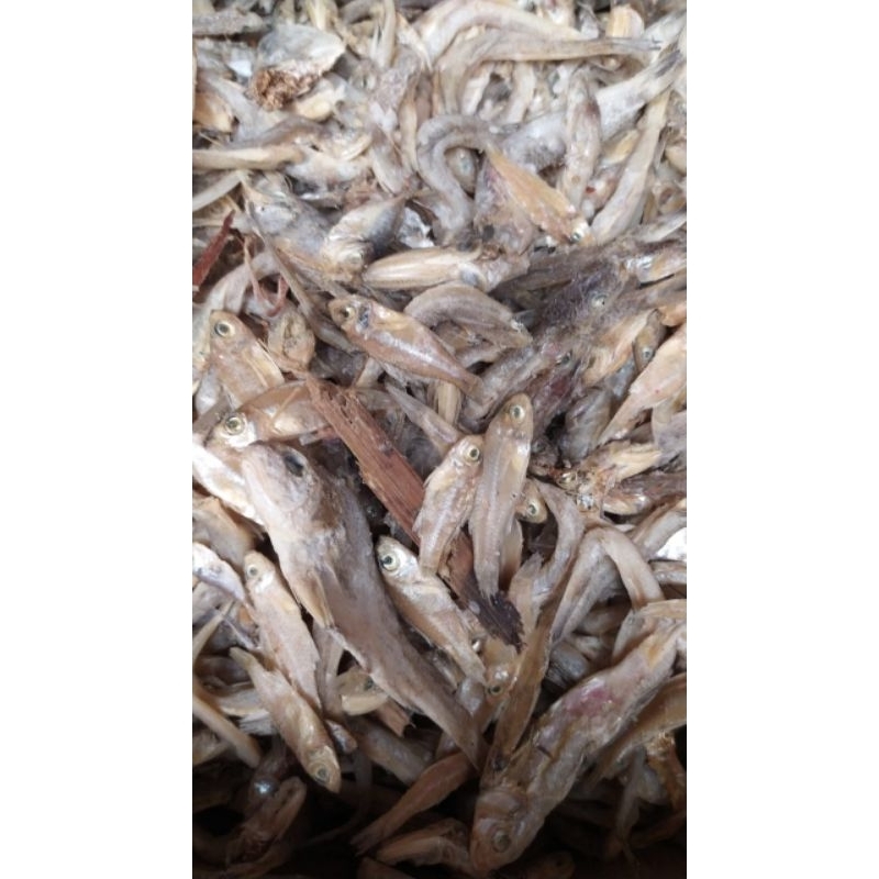 

Ikan Asin Kering Belek Crispy