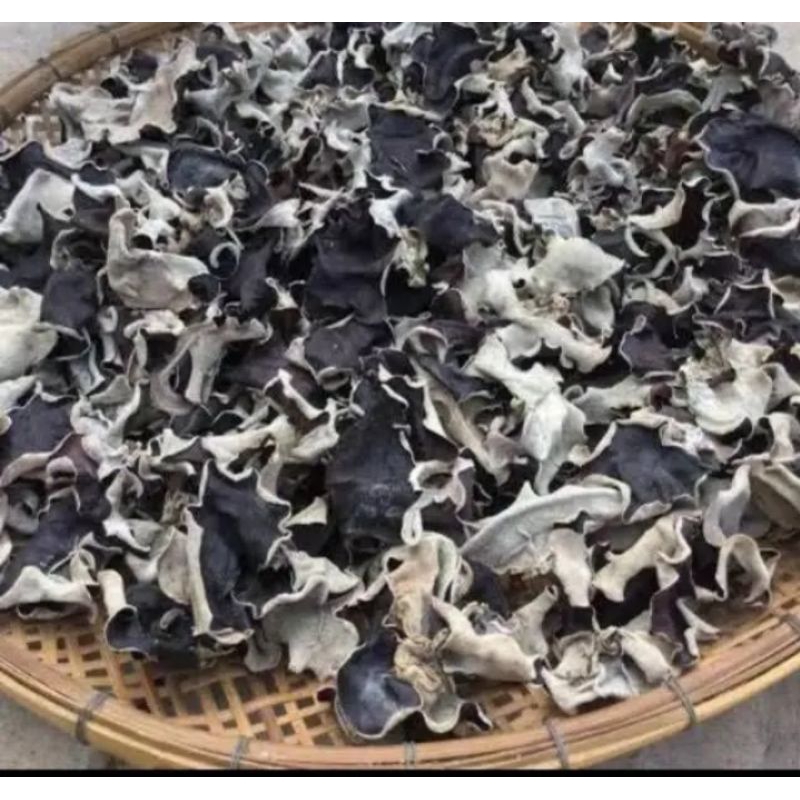

Jamur kuping tebal hitam putih 500 gr