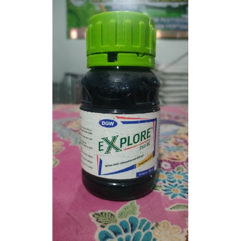 Explore 250 EC