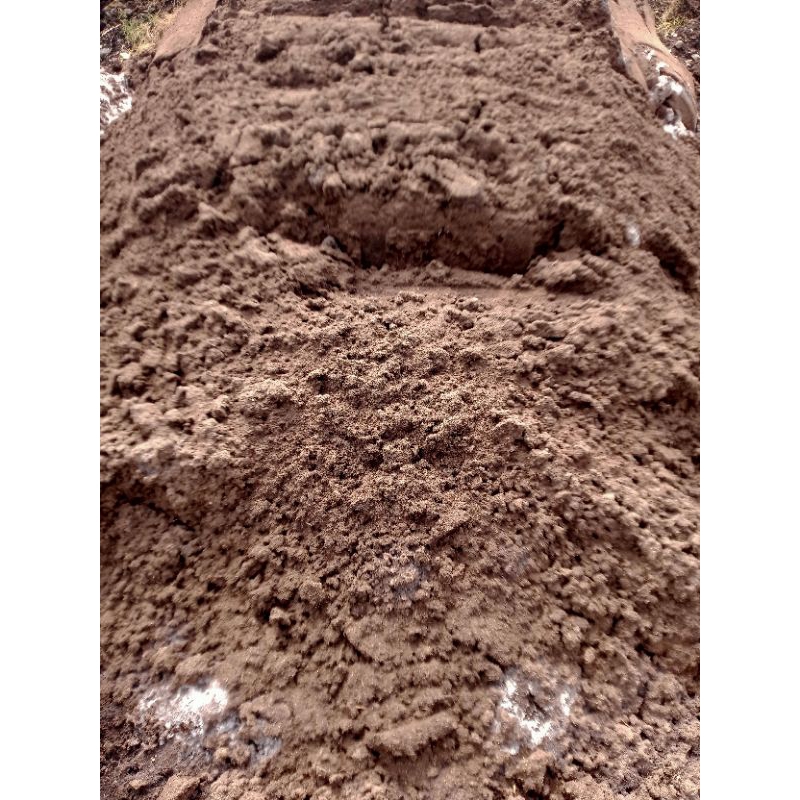 blotong ( ampas tebu ) media ternak cacing