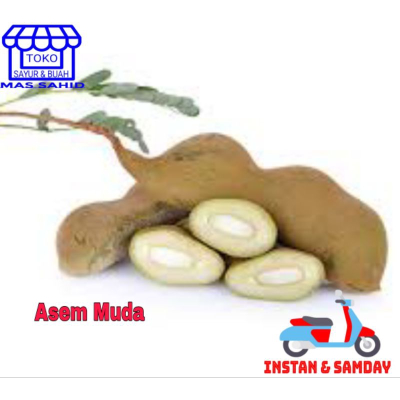 

Asem Muda Asam Mentah 100 Gram