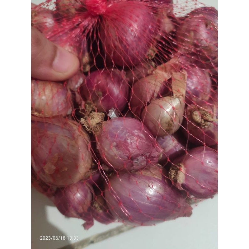 

Bawang Merah Super