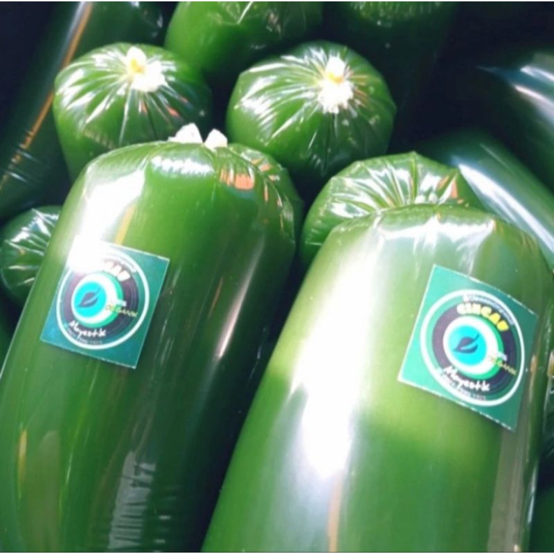 

XMASTER CINCAU HIJAU KEMASAN PLASTIK 1KG PAKET ISI 10PCS DAUN CINCAU ASLI TANPA BAHAN PENGAWET