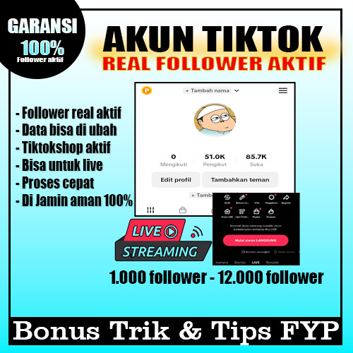 Jual Akun TikTok Real Followers Aktif Indonesia Hasil FYP BERGARANSI