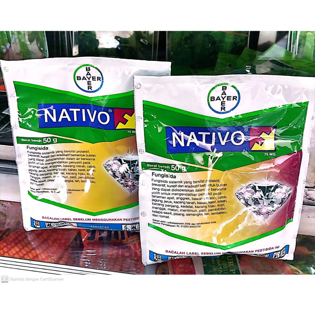 Nativo 50 gram