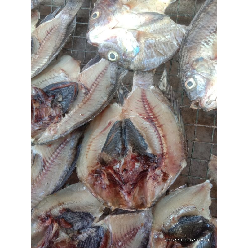 

ikan nila kering