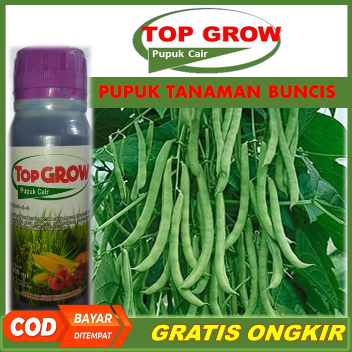 TOP GROW Pelebat Buncis Terbaik Tahan di Musim Hujan - Pupuk NPK Cair Pelebat Buncis, Pupuk Organik 