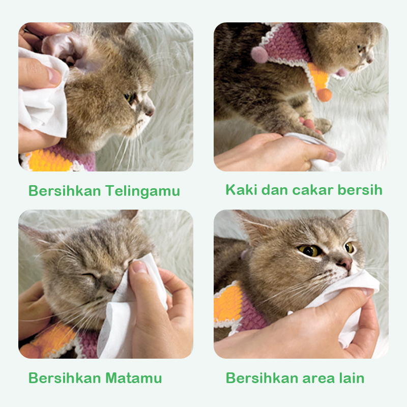 PET DIARY Tisu Basah Hewan Anjing Kucing Grooming Hewan Murah Handuk 80Pcs/Bungkus