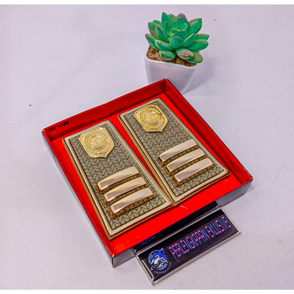 PANGKAT PNS SUBANG GOLONGAN 3C - PANGKAT ASN SUBANG GOLONGAN 3C - PNS SUBANG 3C - ASN SUBANG 3C - PA