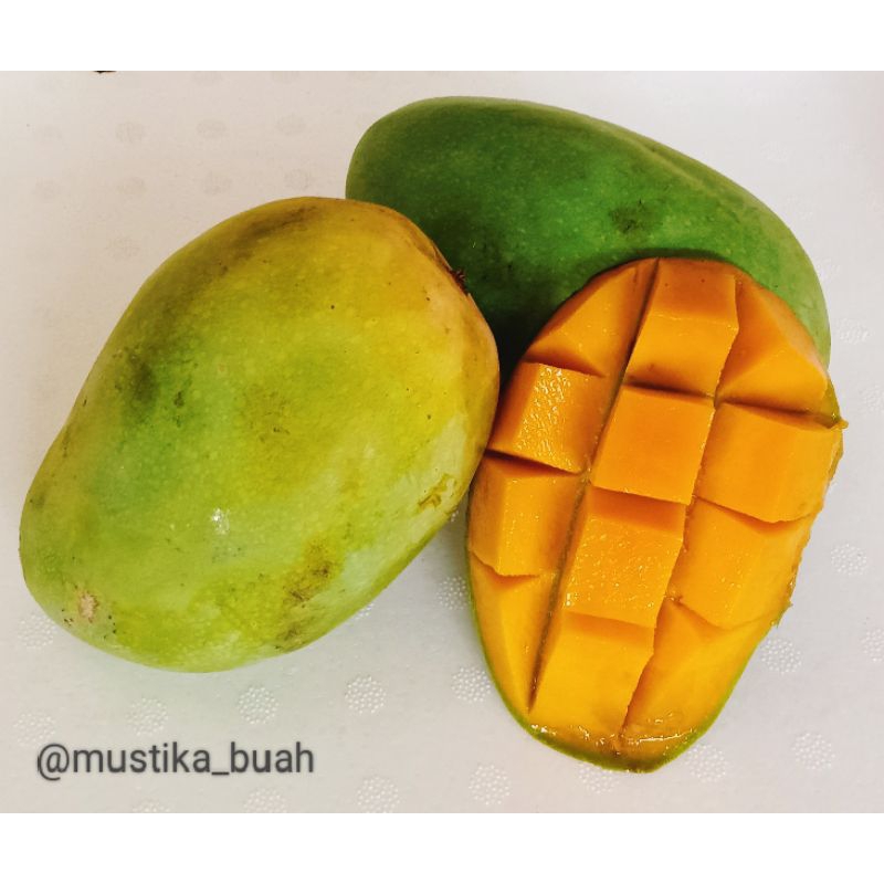 

Mangga Harum Manis Terlaris 1kg