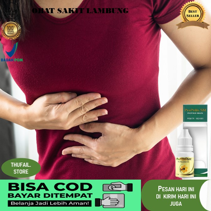 obat lambung  obat asam lambung obat herbal asam lambung Obat Asam Lambung Obat Herbal Lambung Obat 