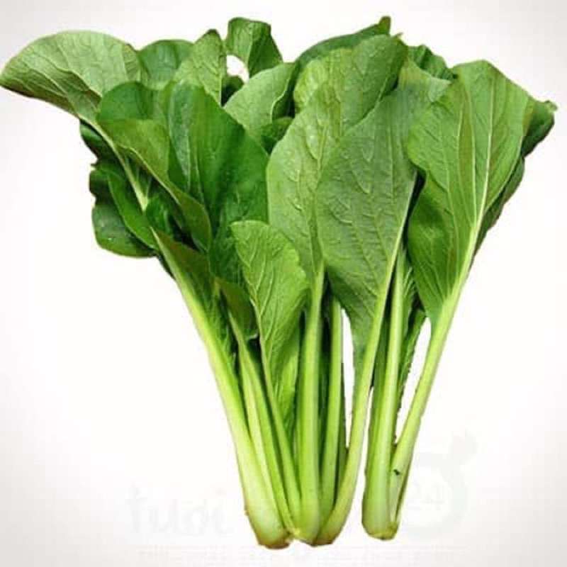 

sawi/ sayuran segar/ sayur fresh