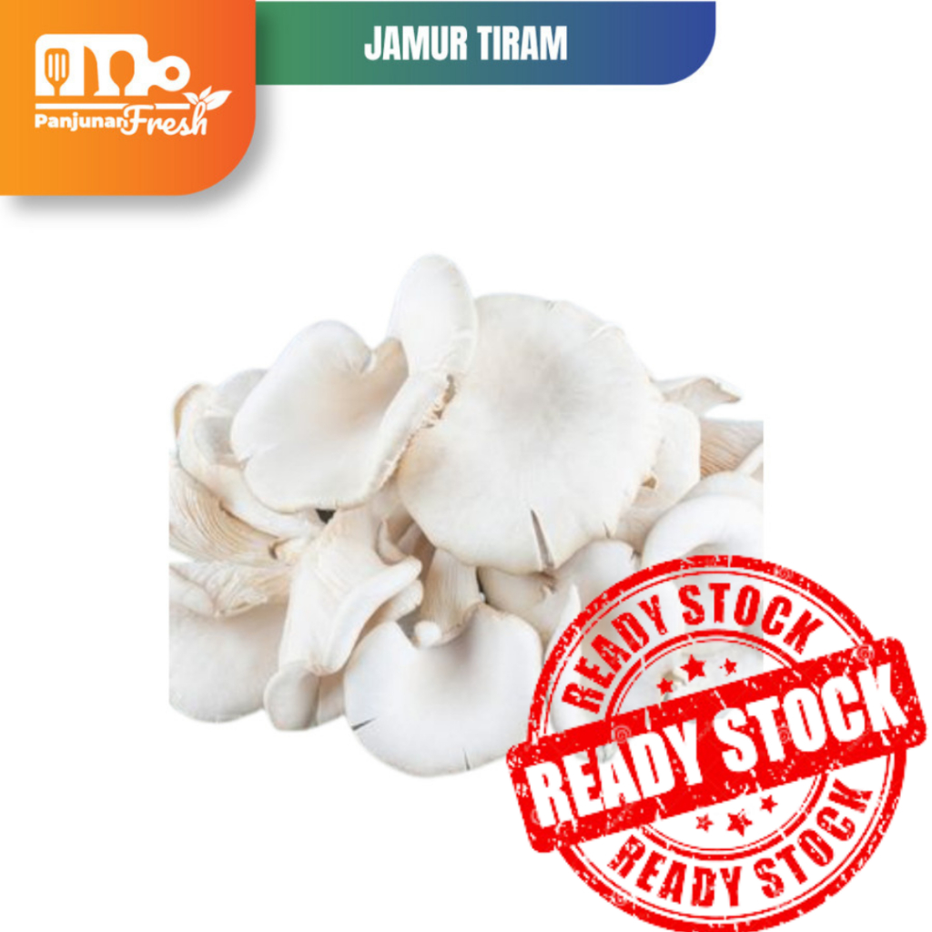 

Jamur Tiram / Jamur Kipas 500 Gram Sayuran Segar Fresh