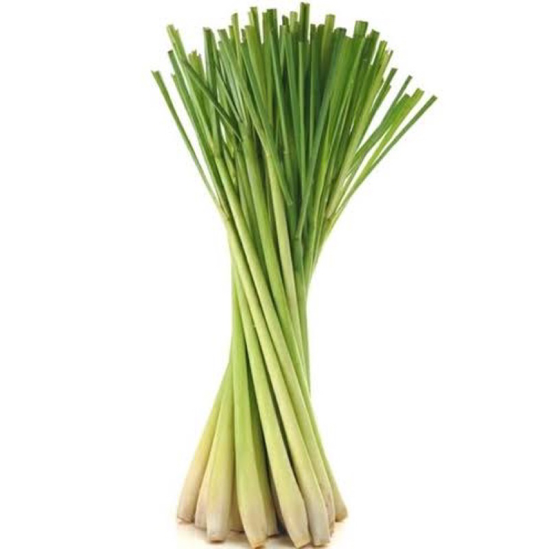 

sereh/ sayuran segar/ sayur fresh