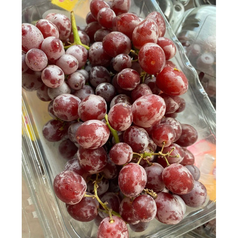 

Anggur Snap Candy Manis Super 500 grm
