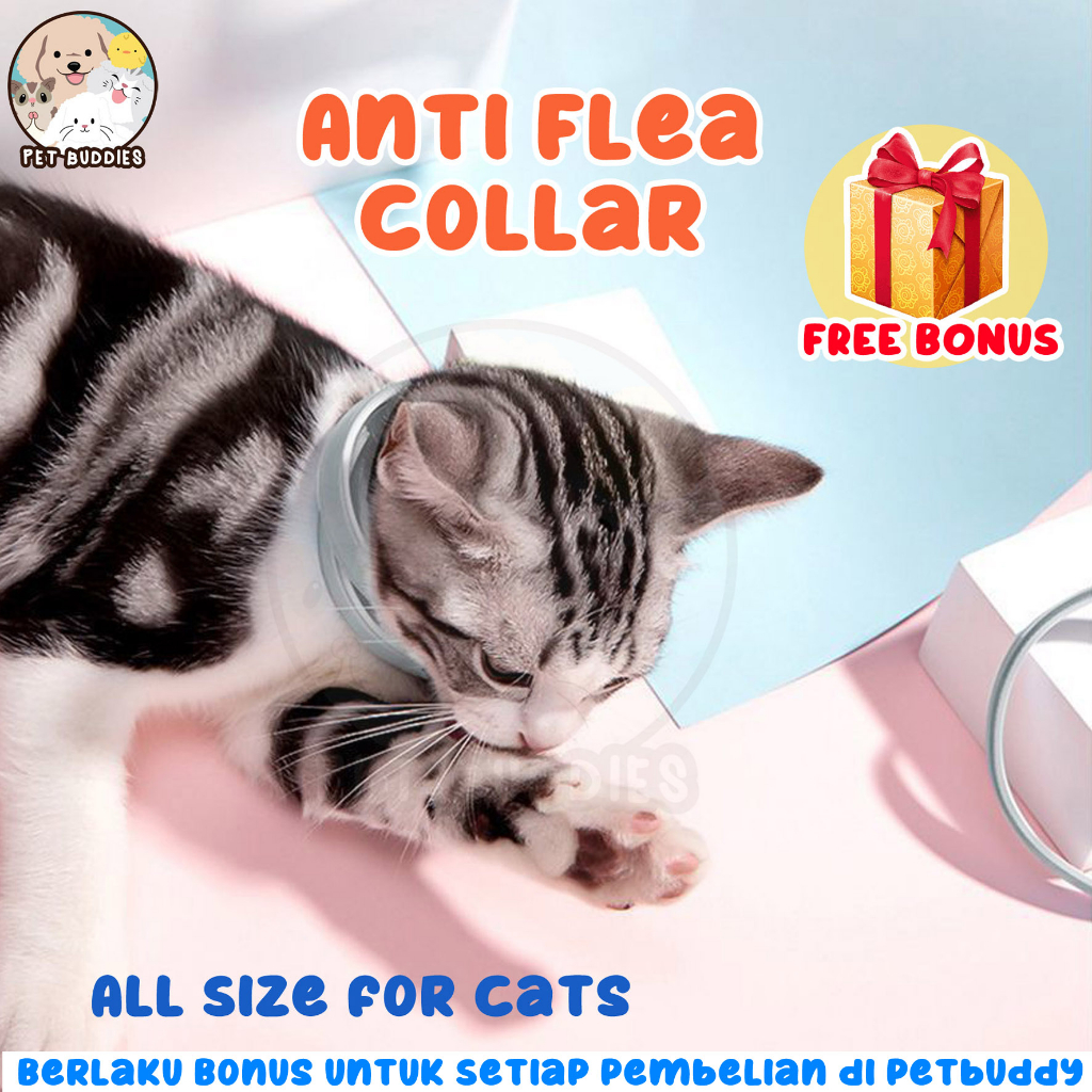 [FREE BONUS]Kalung Anti Kutu Cat Flea and Tick Collar Kucing dan Anjing