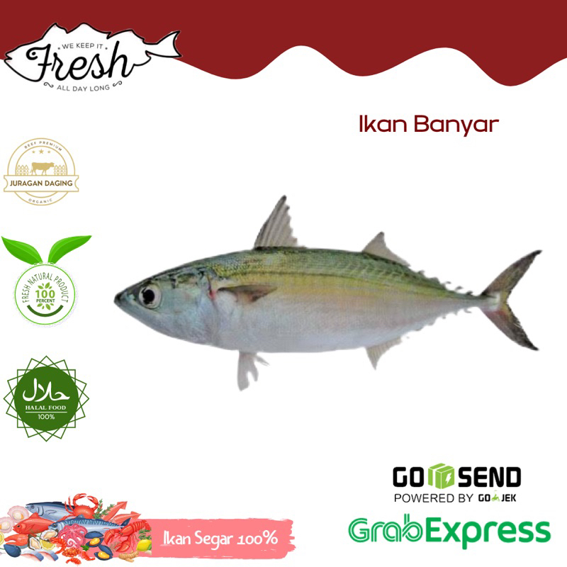 

IKAN KEMBUNG BANYAR FRESH 1kg