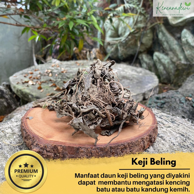 

Daun keji beling - Pecah beling kering asli 250gr