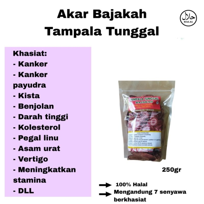 

[Terlaris] Akar Herbal Bajakah Tampala Merah 100% Asli 250gr