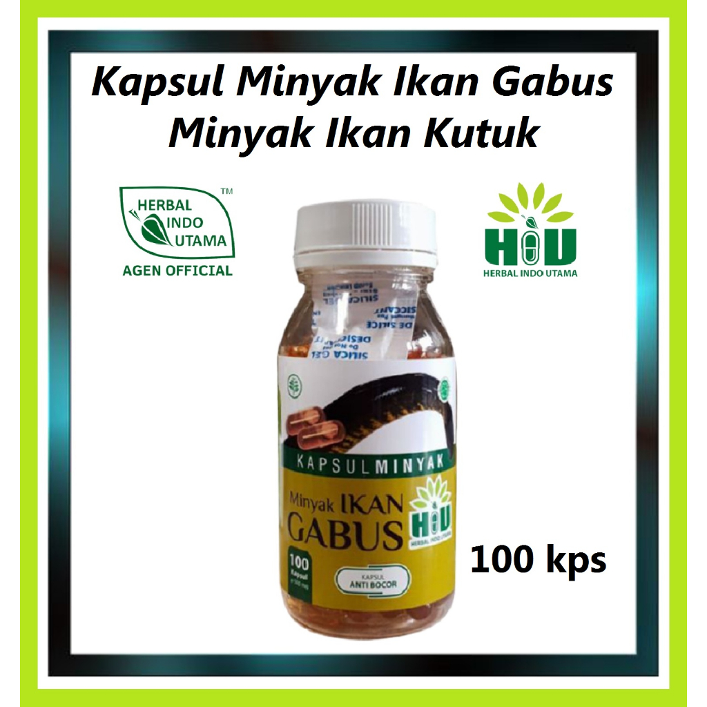Minyak IKAN GABUS Herbal Indo Utama (HIU)