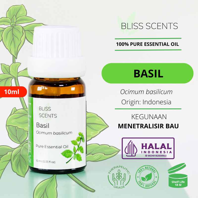 Bliss Basil / Kemangi Essential Oil Aromatherapy 100% Murni Therapeutic Grade Aromaterapi