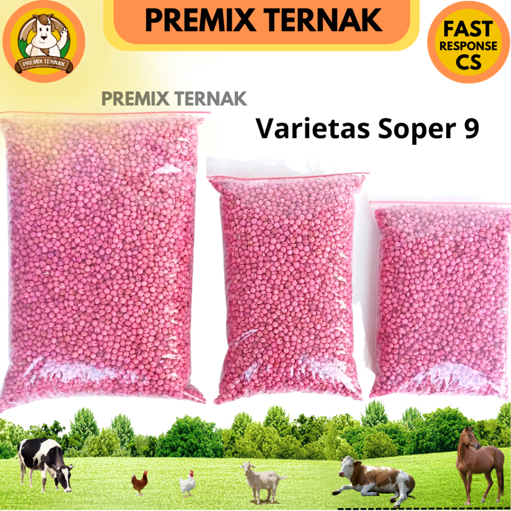 BIBIT SORGUM SOPER 9 KEMASAN 1 KG - Benih Sorgum Varietas Soper - Varian (1kg) Sorghum Cantel hijauan pakan ternak