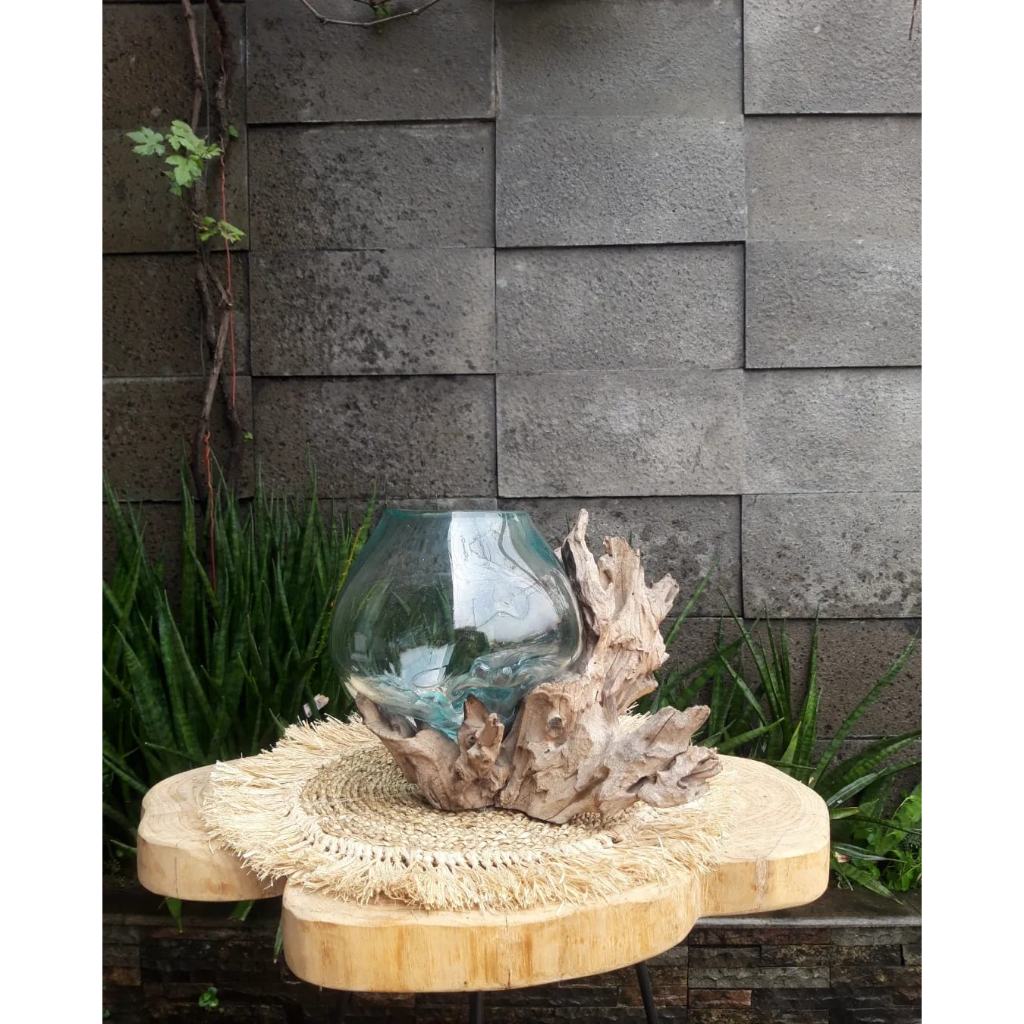 [ AQUARIUM SERIES ] Aquarium Hias / Aquarium Akar / Aquarium Aestetik / Aquarium Mini / Aquarium Luc