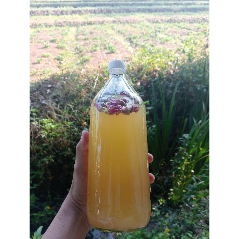 KOMBUCHA LEMONADE ROSE / fermentasi teh rasa Lemon Bunga Mawar