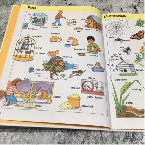 BUKU ANAK - YOUNG LEARNERS PICTURE DICTIONARY