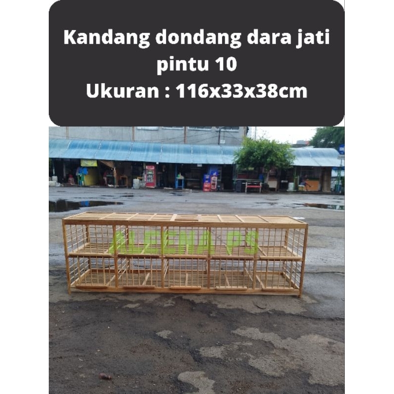 Sangkar Kandang Dondang Burung Dara Merpati Kayu Jati Pintu 10